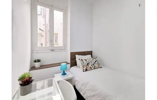 Alquiler Apartamento 3 Dormitorios Madrid Estudiantes Lavapies
