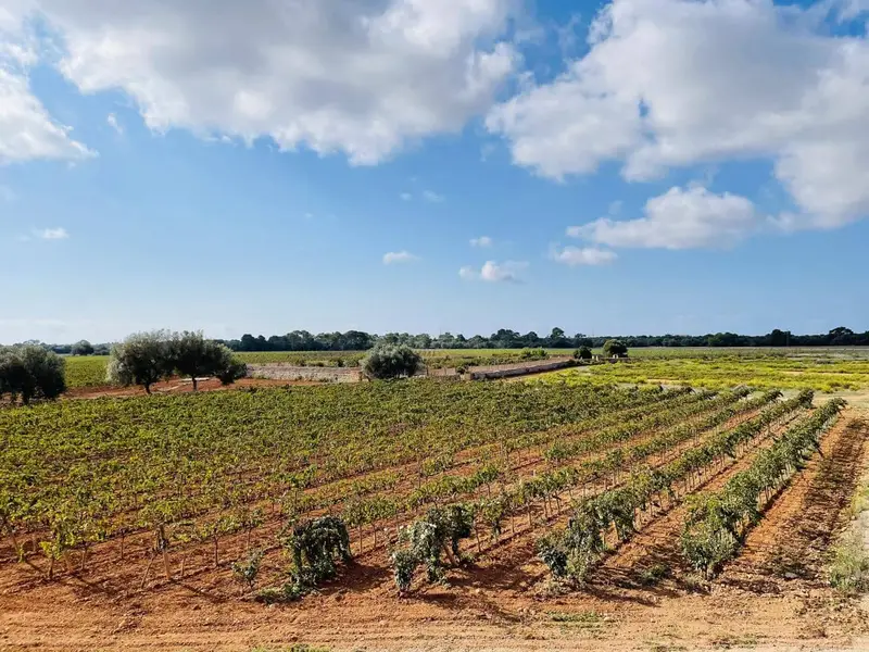 Hotel Boutique 4 Estrellas en Mallorca - Traspaso de Negocio
