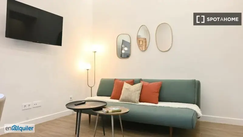 Estudio Amueblado en Lavapiés