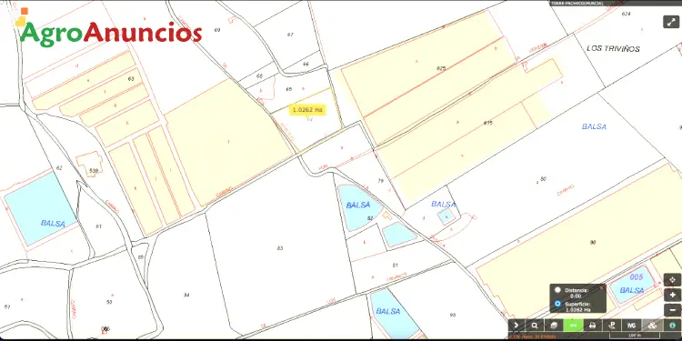 Venta  de Terreno de regadío en Murcia