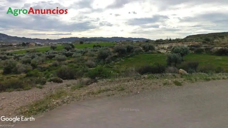 Venta  de Finca de regadío y pastos en Almería