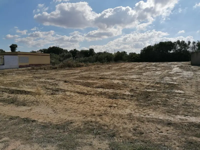 Venta Finca Rustica 2000m2 Ctra Medina Puerto Real