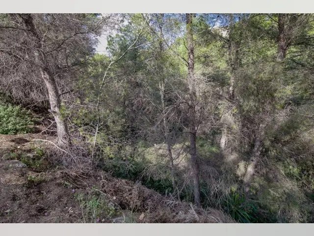 Terreno en Venta Benissa Cerca de la Playa