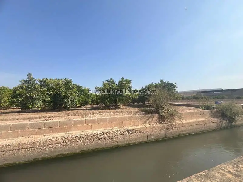 Parcela Rustica en Paterna con Naranjos