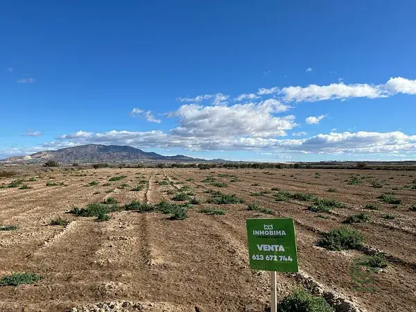 Parcela Rustica con Olivos en Alhama de Murcia