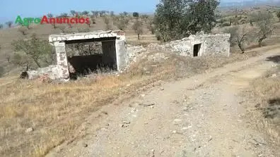 Venta  de Finca de almendros con edificación en Almería