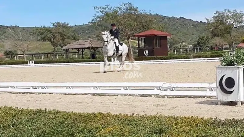 Finca Rustica con Instalaciones Ecuestres en Mijas Costa