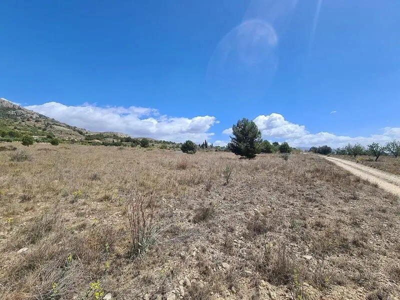 Terreno en Venta Sax Alicante 16200m2 Vistas Montaña