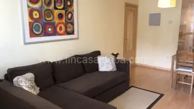 Alquiler Apartamento Urbanizacion Espata
