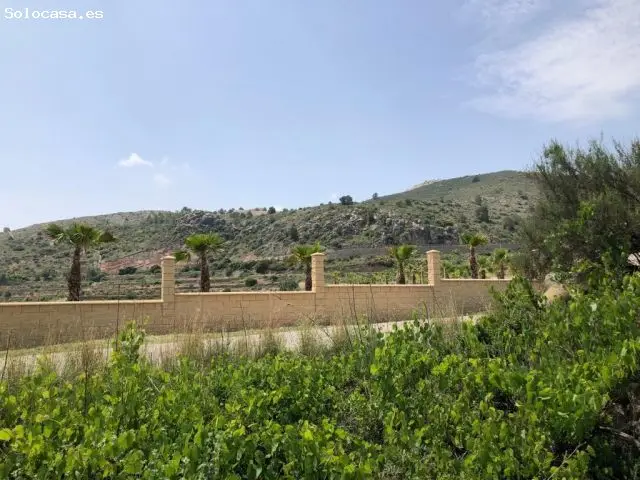 Terreno en Aspe zona La Ofra 13201m2