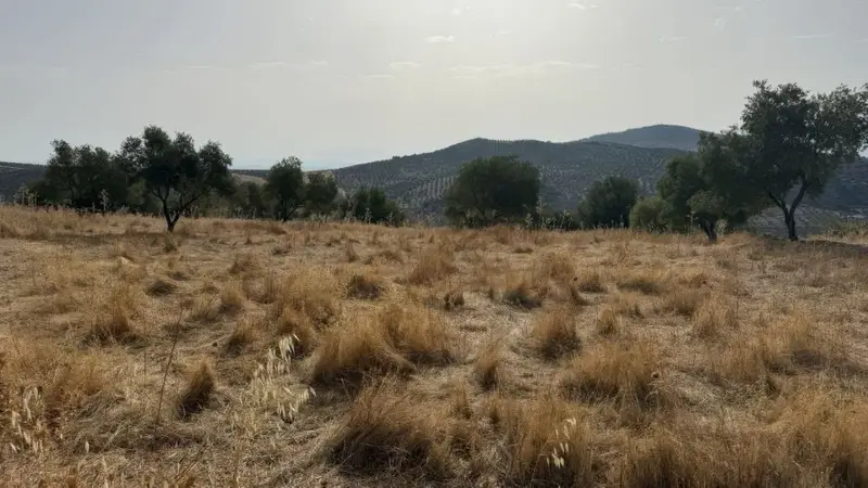 Terreno en venta Tolox, España
