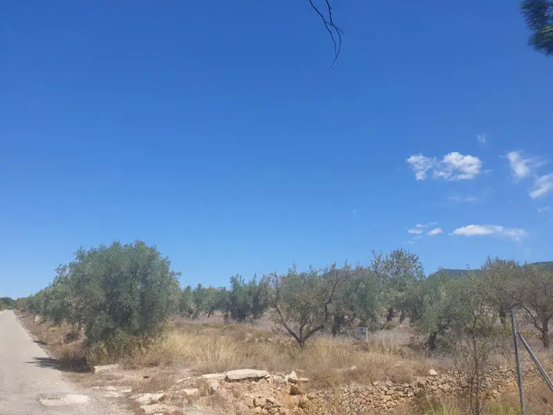 Gran Parcela en Biar con Vistas al Valle