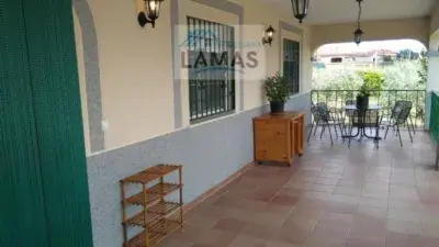 Casa Rustica en Venta con Olivar y Viviendas