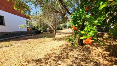 Casa en Venta en Castellbisbal  186m2 4 habitaciones Jardin