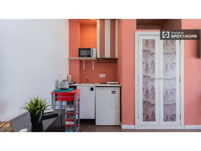 Estudio con mucha luz en el centro de Valencia
