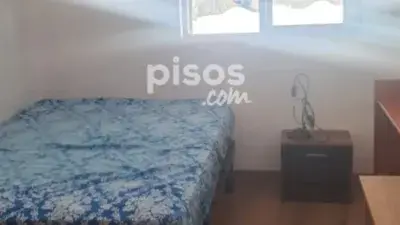 Alquiler Piso Pajaritos 3 Dormitorios Cerca Universidades