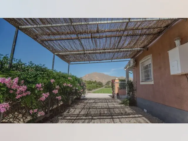 Casa Rural 3 Dormitorios Orihuela Vistas Montaña Piscina