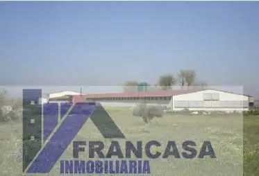 Finca Rustica en Herencia con Naves Agricolas y Ganaderas