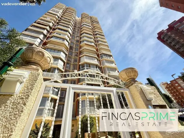 Alquiler Temporada Septiembre Mayo Apartamento Reformado Benidorm