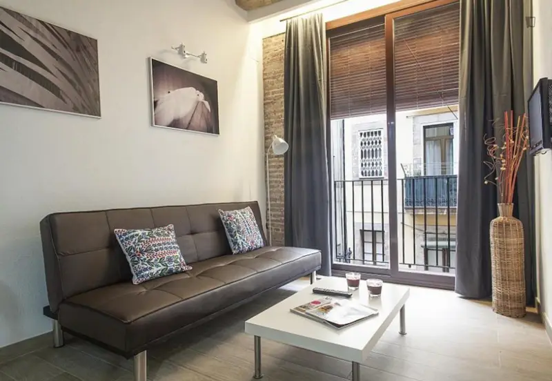 Apartamento 1 Dormitorio Terraza Compartida Mascotas Wifi