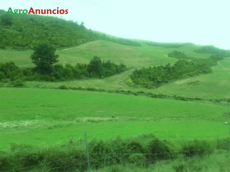 Venta  de Finca agrícola con nave ganadera en Navarra