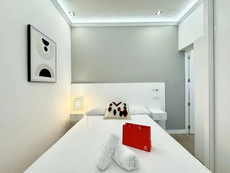 Apartamento 1 Dormitorio Madrid