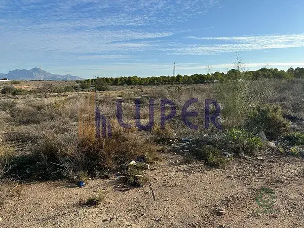Finca Rustica 14000m2 Alcoraya Alicante
