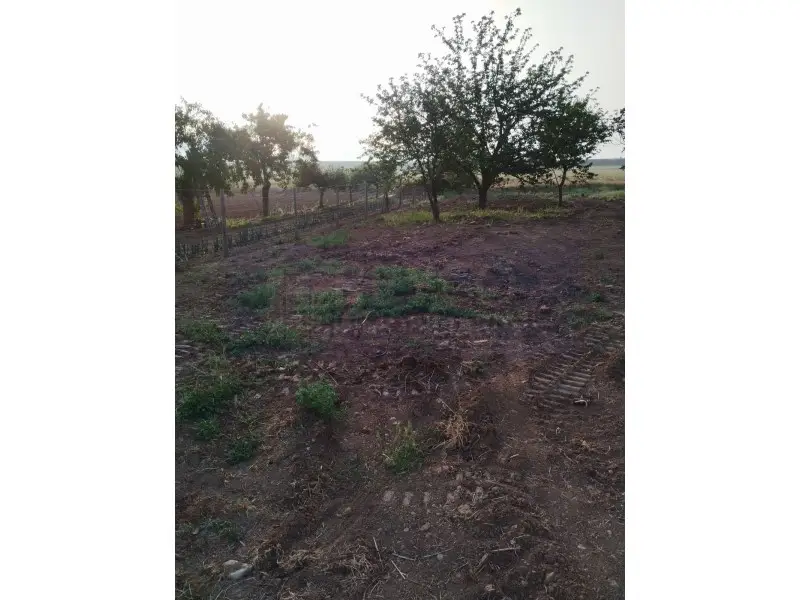 Venta Terreno Rustico Casalarreina 453m2