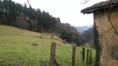 Casa en Venta Lemoa 230m2 Jardin 300m2