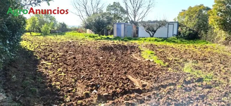 Venta de Finca Rustica en Logroño con Casetas y Baño