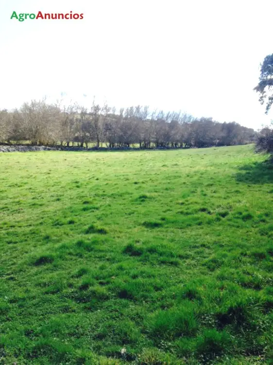 Venta  de Finca ganadera en Salamanca