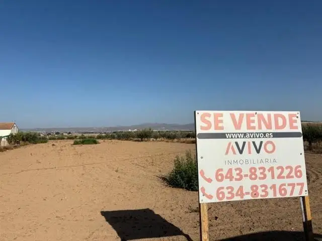 Venta Parcela en Tercia Lorca Ref 00618