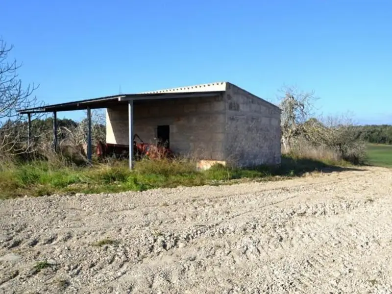 venta Terreno en Llubí, Balears (Illes) (HUD-charme00008)- Globaliza