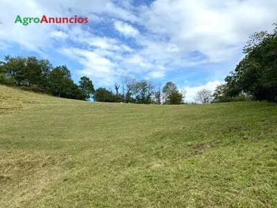 Venta  de Finca edificable en Asturias