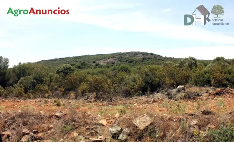 Venta  de Finca de caza con casa en Ciudad Real