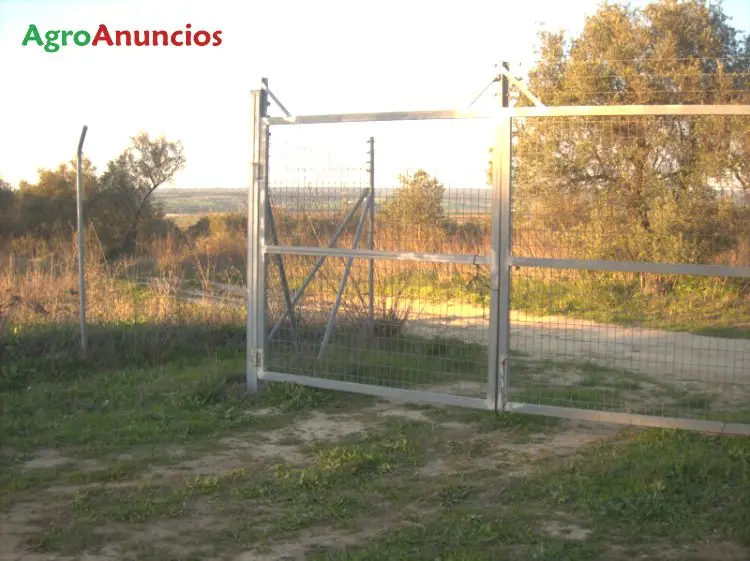 Venta  de Finca rústica en Huelva