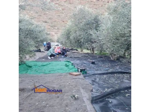 Finca De 3.000 Metros  En Nacimiento Almería, Con Vivienda  Y Frutales, Pvp: 50.000 €