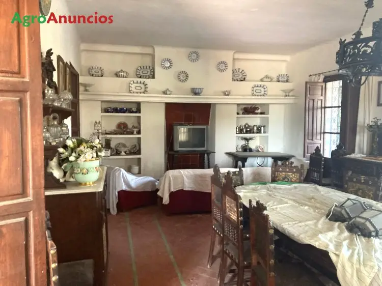 Venta  de Finca en la vega con cortijo en Granada