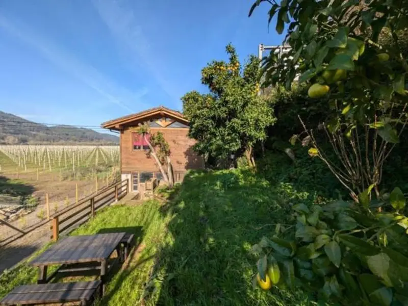 Chalet en Salas Asturias con terreno Horreo y Cuadra