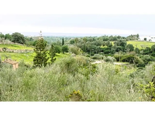 Terreno Rustico Edificable Vistas Mar Manacor