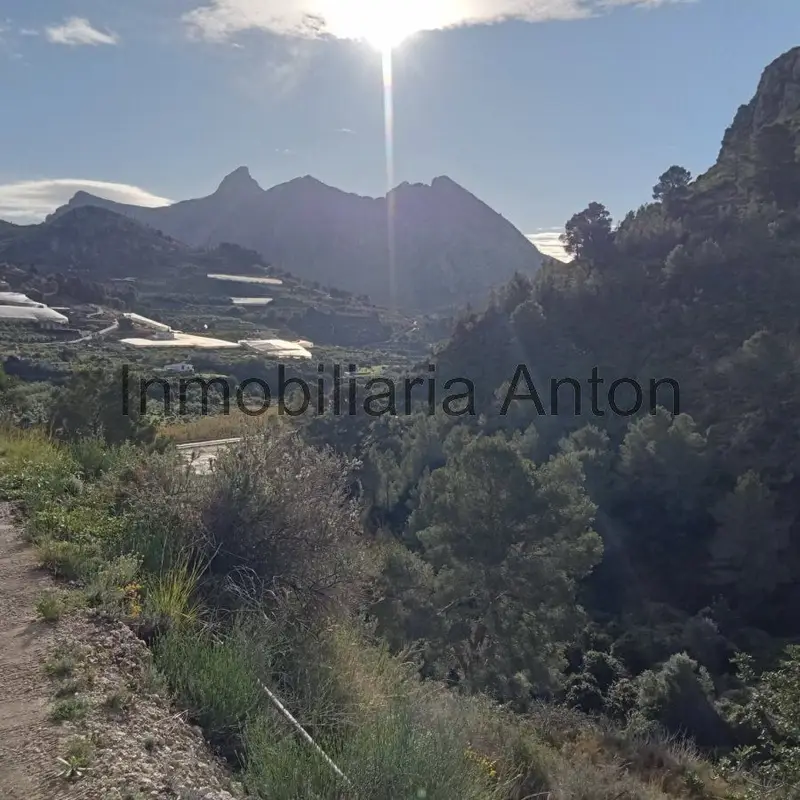 Venta Finca Rustica Bolulla