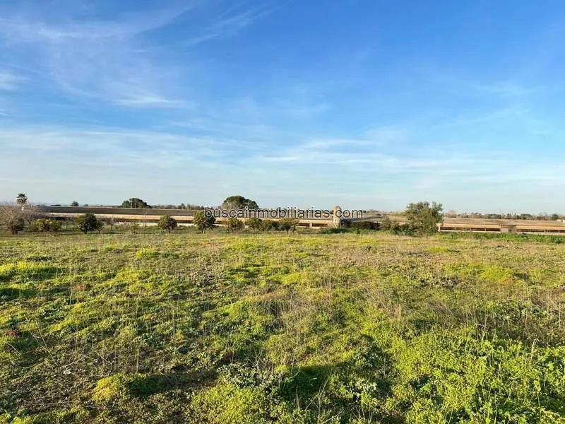 Parcela Rustica en Venta Benacazón 3 Hectareas Nave 2200m2