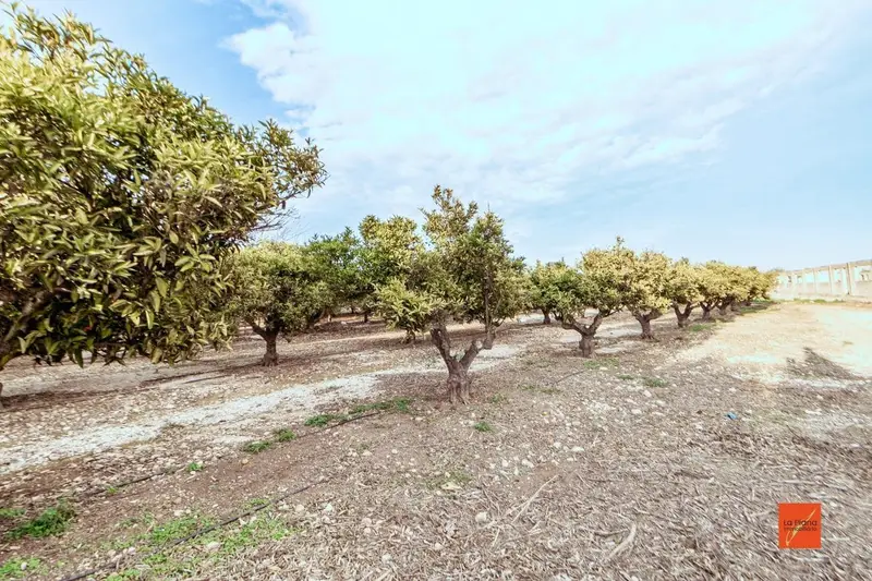 Finca Rustica en Venta Santa Barbara Tarragona