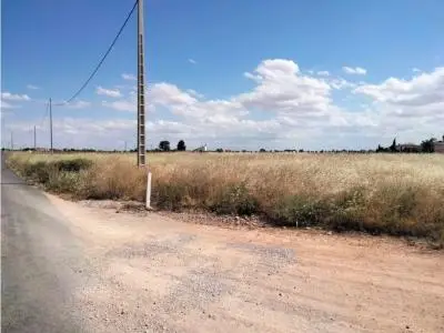 Parcela en venta a 2 km de Villarrobledo 8000m2