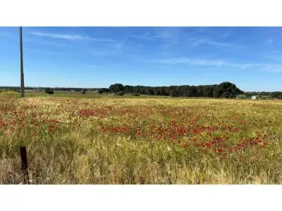 Se vende terreno 68 ha en Paraje El Portillo