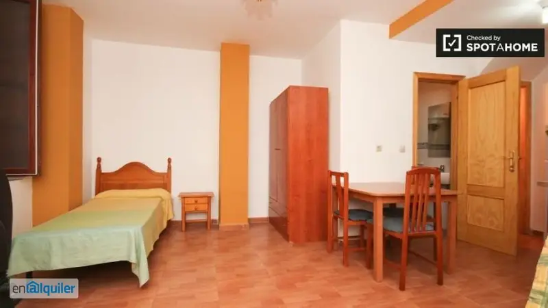 Estudio Grande en Alquiler Centro Granada