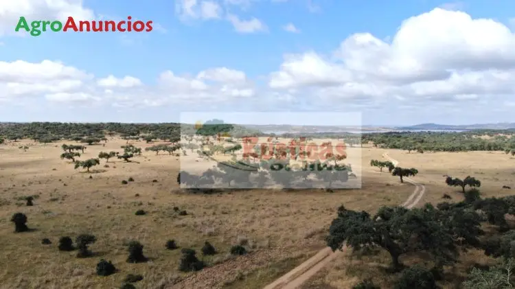 Venta  de Finca con dehesa en Badajoz