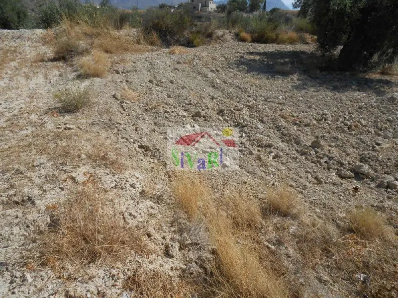 Venta Terreno Ricote - Parcela Agricola con Olivos