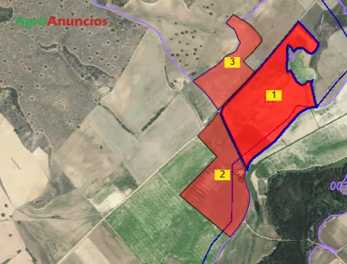 Venta Finca Regadío 295 Hectáreas Zamora