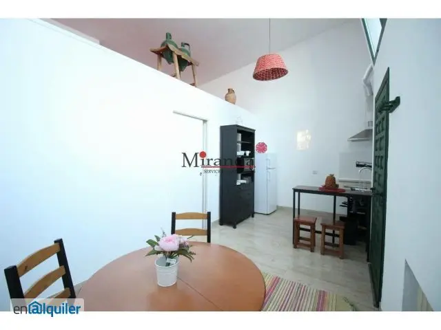 Alquiler Piso Terraza El Bosque 1 Dormitorio